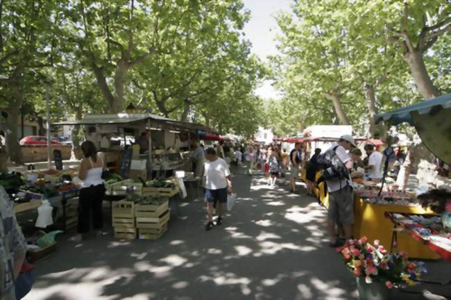 Marché traditionnel de Saint Chinian - Saint-Chinian (34360) - Foire