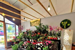 Cède fonds de commerce fleuriste
