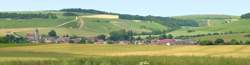 photo Jeu d'énigme dans le vignoble : explorez le secret de Biodynamix