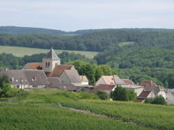 photo Ouvrier / Ouvrière en viticulture