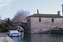 photo Cuisinier / Cuisinière de cantine