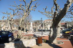 photo Bourse et Expositions