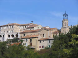 photo Terres de Provence - Halle des producteurs