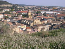 photo Grand Brasero Vigneron et vins du Domaine de Suriane