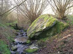 photo Randonnée pédestre à Saint-Omer