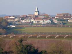 photo Visite estivale du bourg de Saint-Genis-d’Hiersac