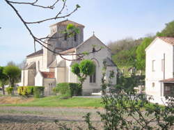 photo Chasse à courre chevreuil