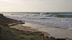 photo SORTIE ÉCHAPPÉE NATURE (DUNE ET FÔRET DU LIZAY)