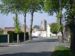 photo Marché de Saint-Jean-d'Angle