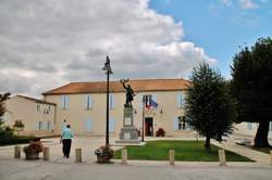 photo Marché du terroir et des producteurs locaux