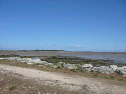 photo VISITES DÉCALÉES - CABANES DE L'ESTUAIRE