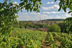 photo Boulanger / Boulangère