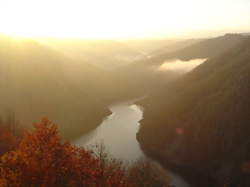 photo Découverte des rapaces des gorges de la Dordogne