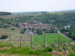 photo Une randonnée pique-nique de vigneron avec le champagne Leclere Torrens