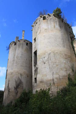 photo Visites du château de Rochefort toute l'année sur rendez-vous
