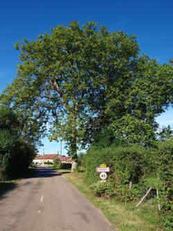 photo Deuxième vide-greniers de l'APE Source de l'Armançon