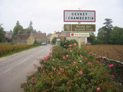 photo Gevrey-Chambertin