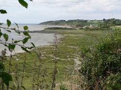 photo L'aube des oiseaux en Baie de Saint-Brieuc - Les Minutes Bleues