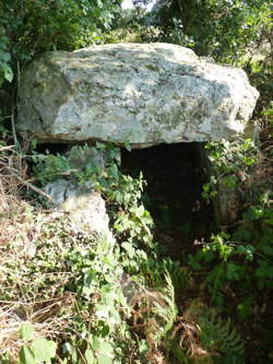 photo 37. Abbaye de Boquen - Journées européennes du patrimoine