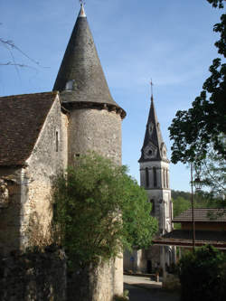 photo Omelette à l'aillet