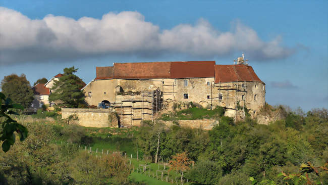 Soirée d'observation du ciel nocturne au Château de Montby