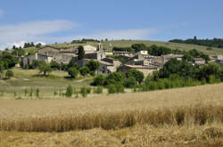 photo Marché aux Producteurs