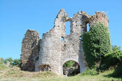 photo JEP 2024 : Visite du musée de Glozel et du champ des morts