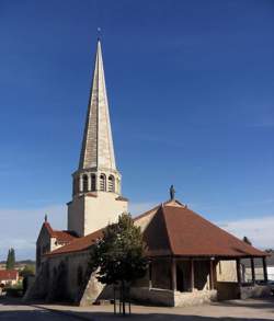 photo Challenge des vendanges