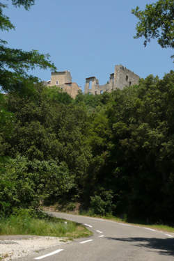 photo Jardinier / Jardinière