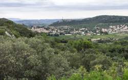 photo JEP - Visite Oppidum du Marduel