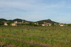 photo J'peux pas j'ai oeno - passion vigneron au Domaine Clavel à St Gervais