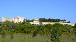 photo Villeneuve-lès-Avignon