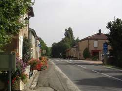 photo Marché gourmand