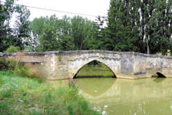 photo Animateur / Animatrice d'accueil de loisirs (centre aéré)