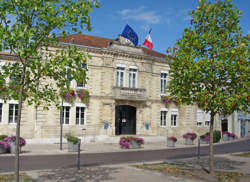 photo Administrateur / Administratrice de compagnie de théâtre