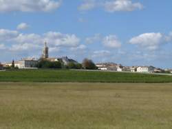 photo Pique-nique champêtre au Château Lafon-Rochet