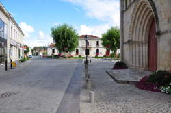 photo A la découverte du Vignoble du Château La Tour Carnet