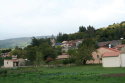 photo ESPÈCES EMBLÉMATIQUES DU HAUT-LANGUEDOC