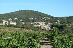 photo LA PIERRE SÈCHE Á VOTRE PORTÉE