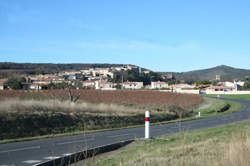 photo RENCONTRES VIGNERONNES : DOMAINE CAMP ROUS