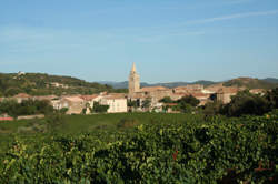photo MARCHE DE NOEL A GABIAN