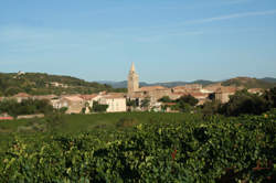 photo PIQUE-NIQUE CHEZ LE VIGNERON INDÉPENDANT