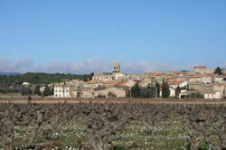 photo FASCINANT WEEK-END - VINS GOURMANDS, VINS VIVANTS !