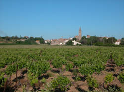 photo FRED PALLEM ET LE SACRE DU TYMPAN - L'ODYSSÉE