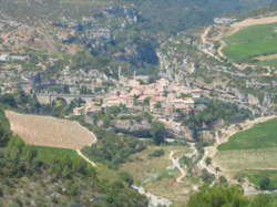 photo LE PRINTEMPS EXPOSE À MINERVE