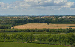 photo FEUX DE LA SAINT JEAN À NEZIGNAN L'EVEQUE