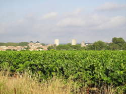 photo L'ENSEMBLE MÉDIÉVAL DE PIGNAN