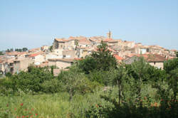 photo LES VENDANGES OCCITANES - SERVIAN