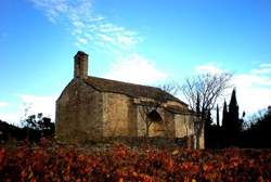 photo FASCINANT WEEK-END - VINS ORANGE ET PAPILLES EN FOLIES