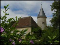 photo Exposition Animaux de la Brenne